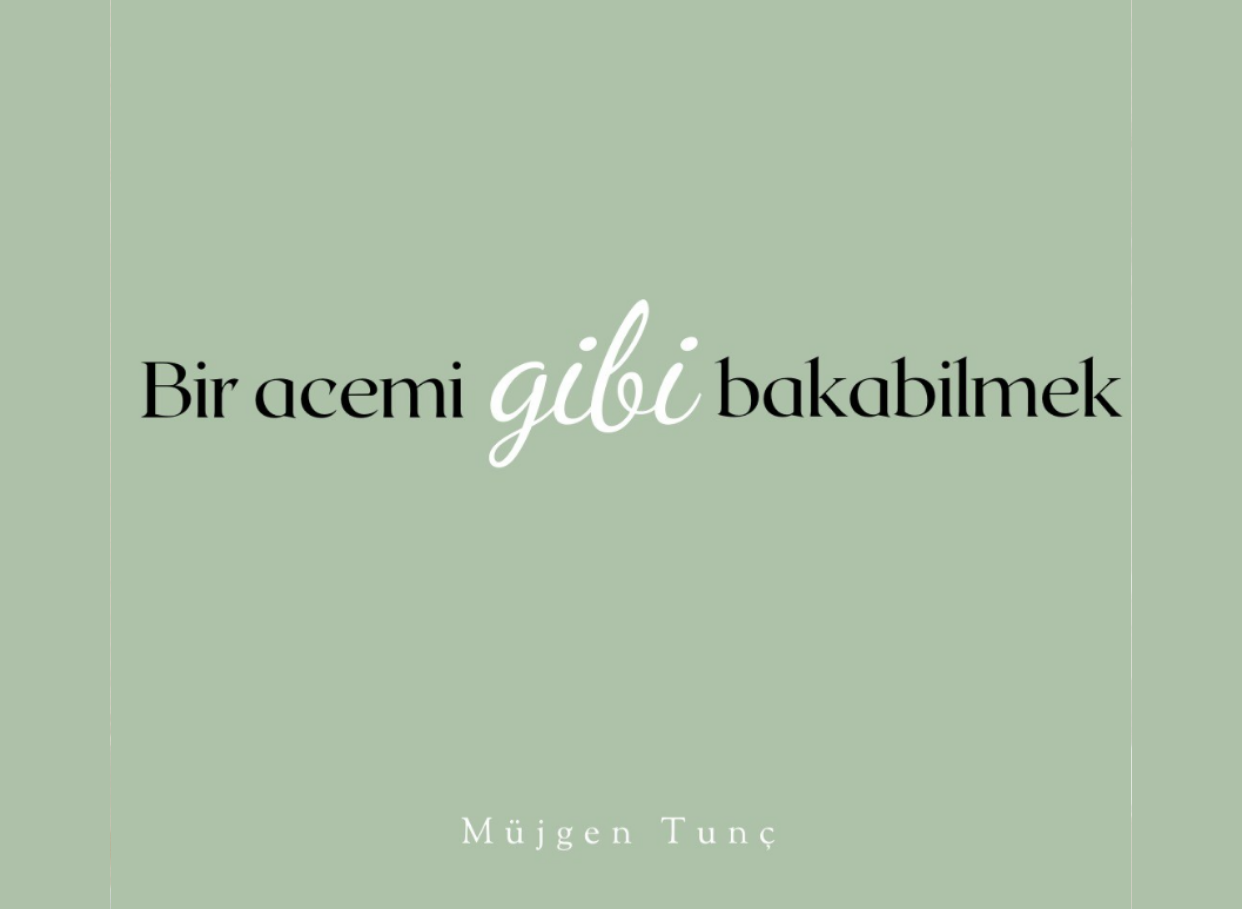 BİR ACEMİ GİBİ BAKABİLMEK